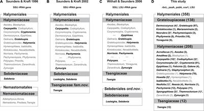 Resurrection of the Family Grateloupiaceae Emend. (Halymeniales, Rhodophyta) Based on a Multigene Phylogeny and Comparative Reproductive Morphology
